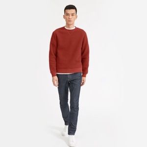 Everlane The ReNew Sherpa Fleece Sweatshirt Brick